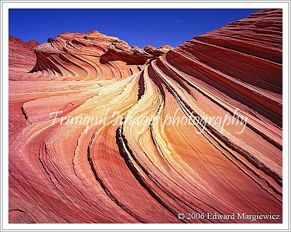 450140   Upper wave at the North Coyote Buttes 
